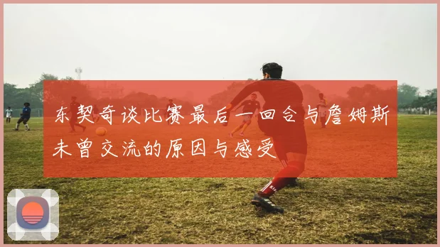 东契奇谈比赛最后一回合与詹姆斯未曾交流的原因与感受