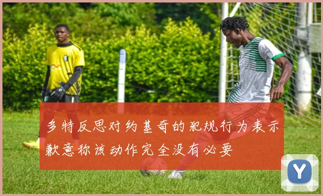 多特反思对约基奇的犯规行为表示歉意称该动作完全没有必要